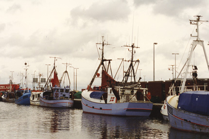  - Fiskeri-hvalfangst-Grenå-havn